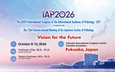 IAP2026 Congress Bursaries Now Open!